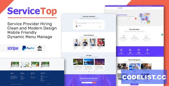 ServiceTop v1.1 - Professional Service Selling Marketplace » Premium Scripts, Plugins & Mobile