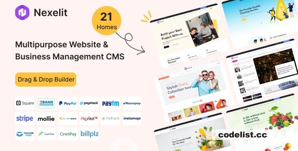 Nexelit v3.5.3 - Multipurpose Website CMS & Business CMS - nulled » Premium Scripts, Plugins & Mobile