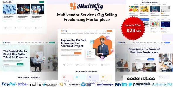 MultiGig v1.0 - Service / Gig Selling Freelancing Marketplace (Subscription Based) - nulled » Premium Scripts, Plugins & Mobile