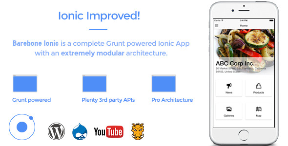 Barebone Ionic 2.24 - Full Application » Premium Scripts, Plugins & Mobile