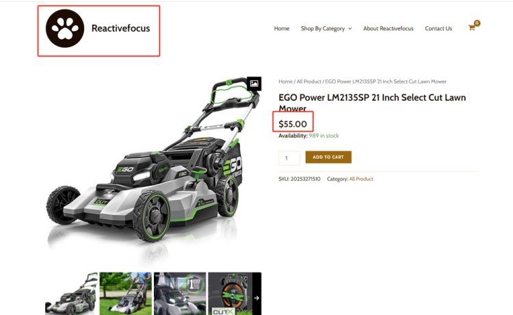 Beware of online scams! reactivefocus.com is using Google Shopping ads to scam people!