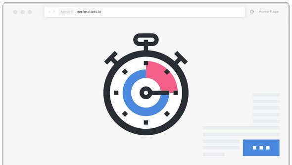 Perfmatters v2.2.8 - Lightweight Performance Plugin